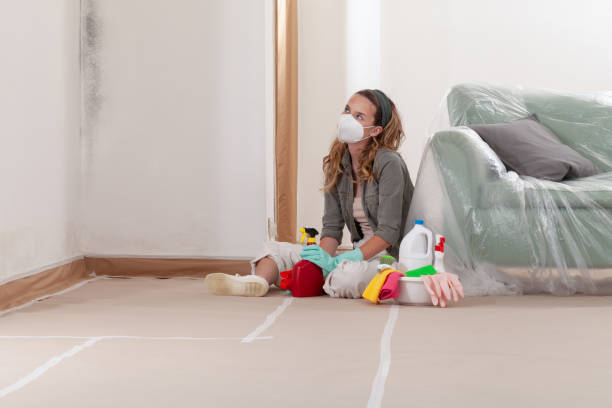 Reliable Black Mold Remediation contractor in Alden, MI by Car Mold Remediation